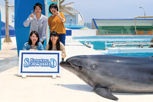 Commemorative Photo with Dolphins
