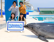 Commemorative　
Photo with Dolphins