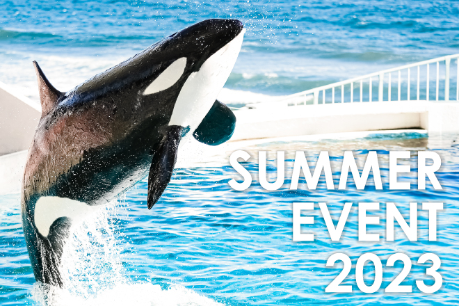 SUMMER EVENT 2023』開催｜鴨川シーワールド-東京・千葉の水族館テーマ