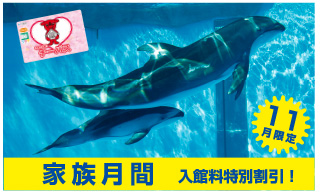 公式＞鴨川シーワールド 東京・千葉の水族館テーマパーク