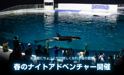 水族館TOP｜鴨川シーワールド-東京・千葉の水族館テーマパーク