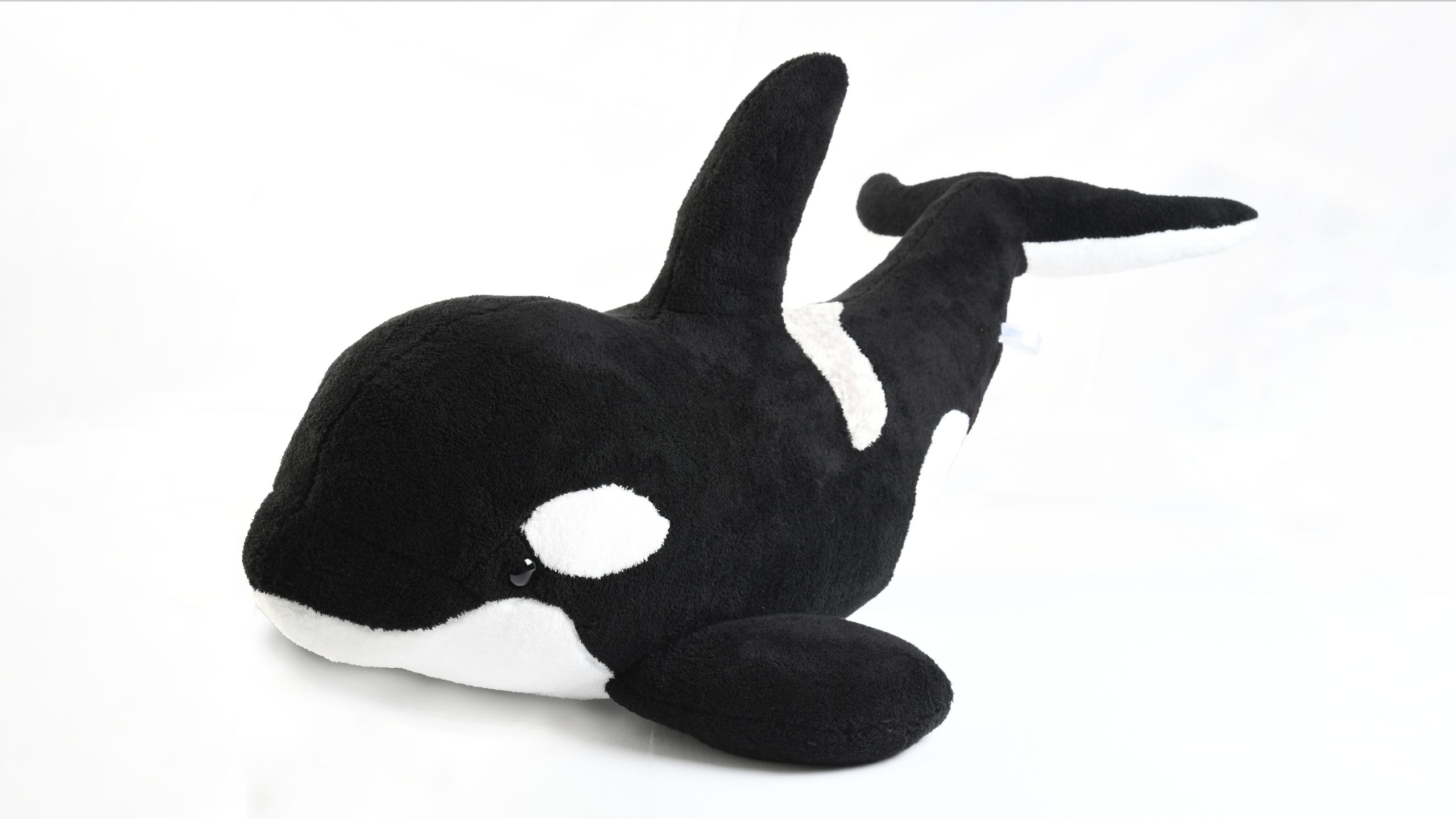 2026年4月～1室に1個大きなシャチが付いてくる！80cmシャチぬいぐるみ付プラン