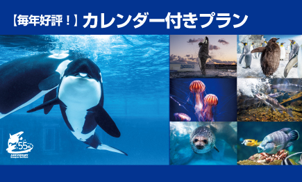 毎年好評！2026年も鴨シーの動物たちとの毎日を！カレンダー付きプラン