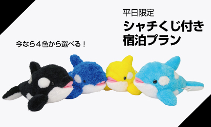 【平日限定】どの子が当たるかな？シャチくじ付プラン【１室１回分付】