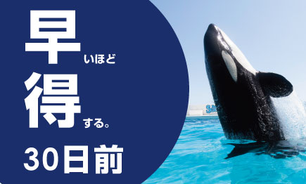【早めに決めよう♪30日前までの予約】お申し込み期間＆室数限定★早得プラン