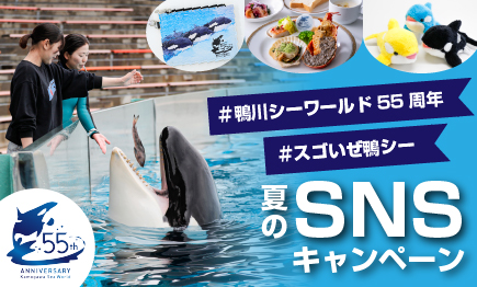 夏のSNSキャンペーン01