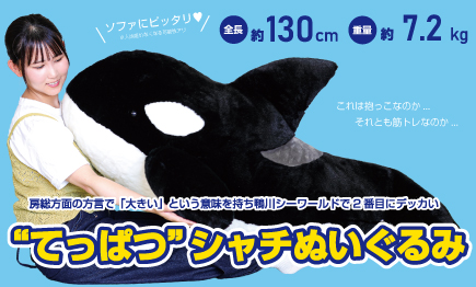 『“てっぱつ”シャチぬいぐるみ』販売開始01
