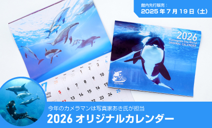 「2026オリジナルカレンダー」を館内ショップにて先行発売＆写真展「鴨川シーワールドの日常」を開催01