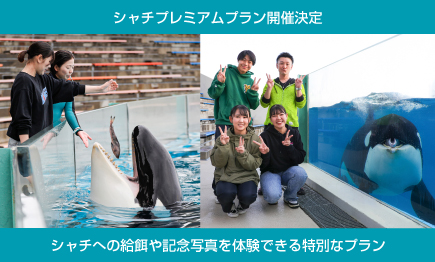 1日45名限定「シャチプレミアムプラン」開催01