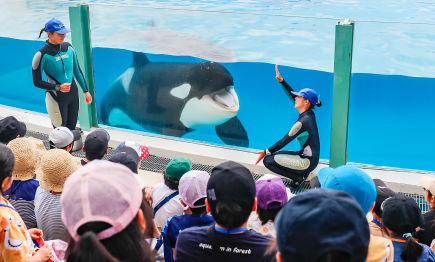 親子で育む生き物への興味　「海の学び教室」01