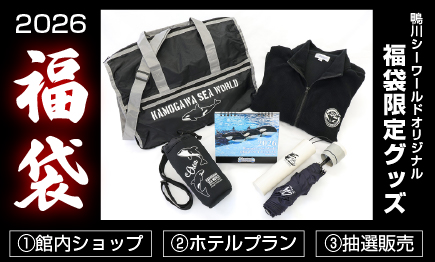 【宿泊期間】2025年12月18日～26日（１日最大７室の限定販売）