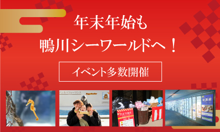 年末年始も鴨川シーワールドへ！イベント多数開催中！！01