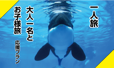 一人旅、大人1名とお子様旅応援プラン♪鴨川シーワールド入館付（1泊2食付）