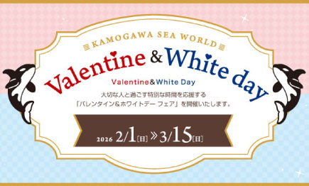 【期間限定】Valentine & White Day 202601