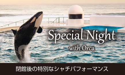 閉館後のシャチパフォーマンス『Special Night with Orca』開催01