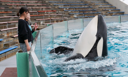 2026年5月『満喫体験』・『満喫宿泊プラン』 開催！！01
