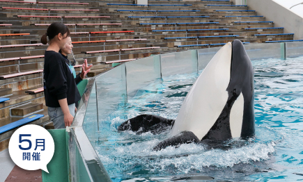 2026年5月『満喫体験』・『満喫宿泊プラン』 開催！！01