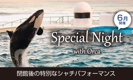 閉館後のシャチパフォーマンス『Special Night with Orca』開催01