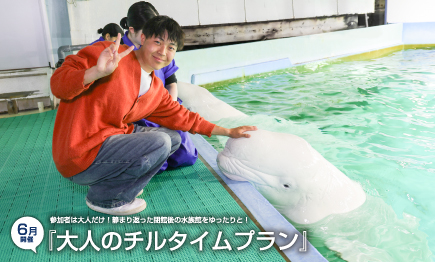 大人だけの時間を味わう『大人のチルタイムプラン』開催01