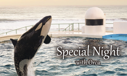 【期間限定】「Special Night with Orca」付き！プラン