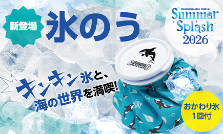 水族館が提供する熱中症対策！ シャチ柄の『オリジナル 氷のう』付き