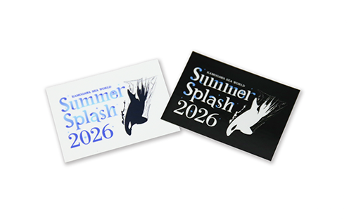 Summer Splash ステッカー