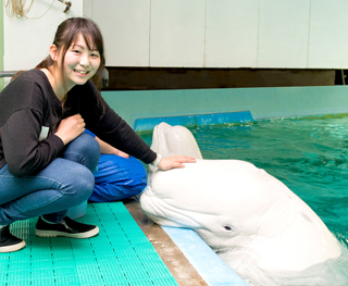 料金・チケット｜鴨川シーワールド-東京・千葉の水族館テーマパーク