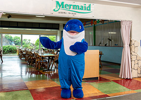 Kamogawa Sea World’s original mascots show up at the restaurant during the dinner time!